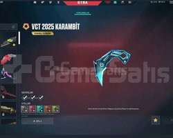 Valorant 261 lvl hesap tr server +121 skin