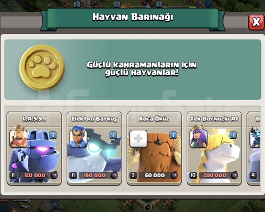 TH 17 / FULL E POSTA TESLİM/ GÜVENİLİR HESAP