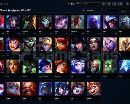 TR / 41 LVL + 7+1 SKİN + Platin 4