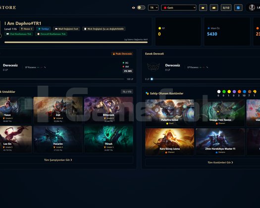 TR / 116 LVL + 25 SKİN + Derecesiz