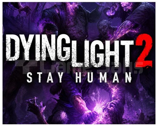 Dying Light 2 + KORUMA + HIZLI TESLİM + GARANTİ