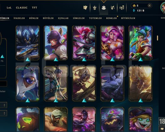 441 LVL + 246 KOSTÜM + 111 HERO + TEL / MAİL!