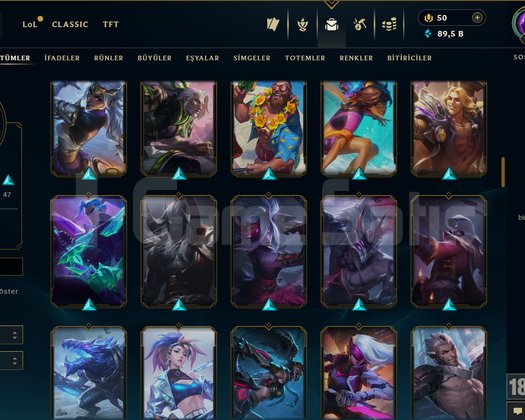 127 LVL + 117 KOSTÜM + 163 HERO + TEL + MAİL!
