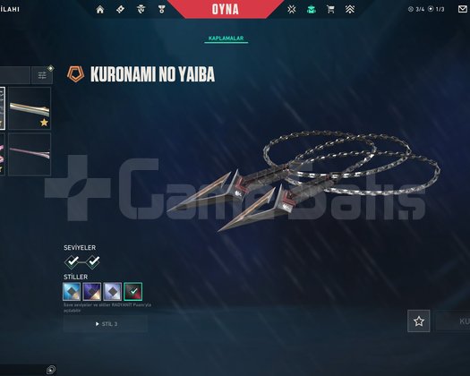 BOL SKİNLİ İMMOR MMRLI HESAP