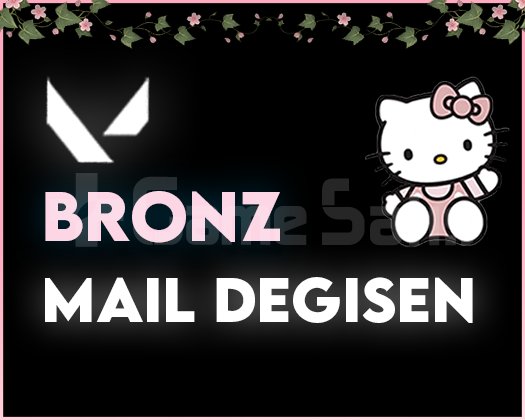 TR - BRONZ - MAİL DEĞİŞEN / SORUNSUZ!