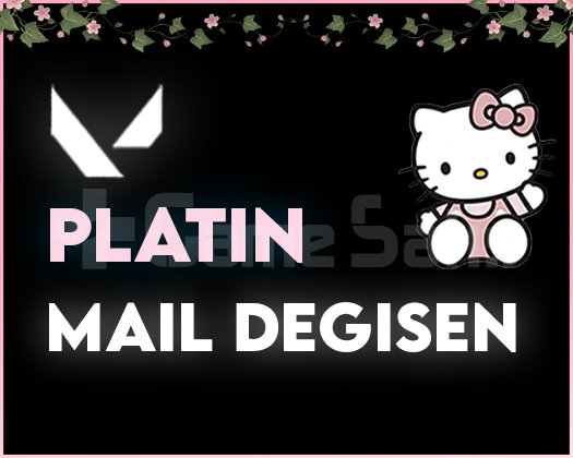 TR - PLATIN - MAİL DEĞİŞEN / SORUNSUZ!