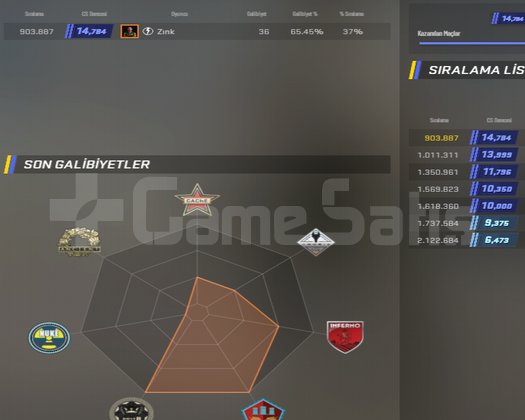 5 Yıllık Jetonlu Seçkin 14K Skinli Elle Kasılmış