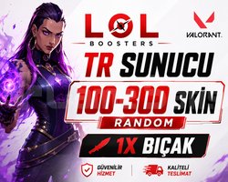 TR SUNUCU / 100-300 SKİN 1X BIÇAKLI DOPDOLU RANDOM