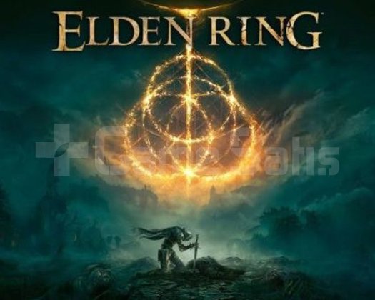 Elden Ring Deluxe Edition XBOX KONSOL + GARANTİ