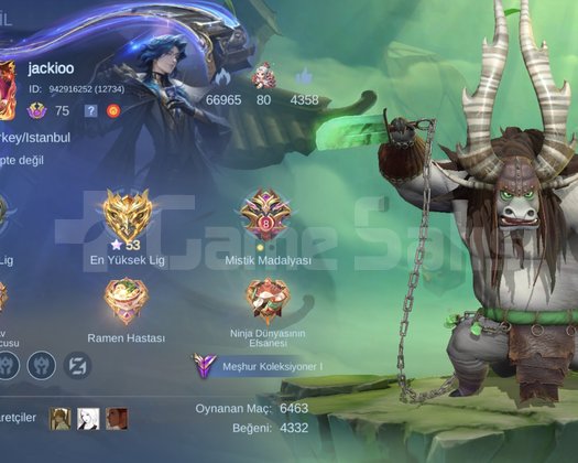 Mobile legends bol kostümlü base efektli hesap