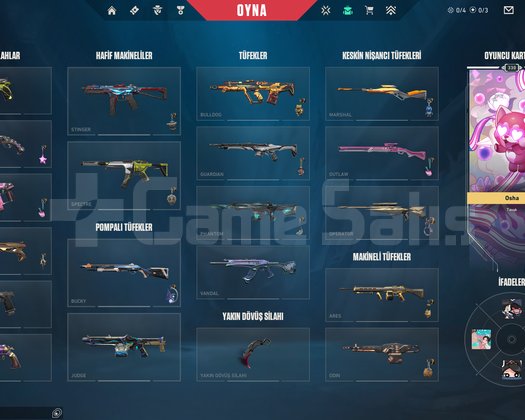 2023 CHAMPIONS VANDAL +20 SKIN