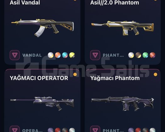 Peek,güncel rank plat 290 level skinli hesap