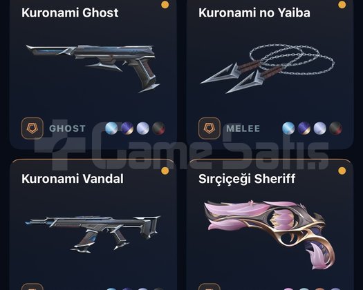 Peek,güncel rank plat 290 level skinli hesap