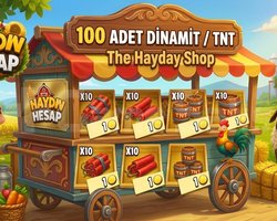 100 adet dimatik ve tnt