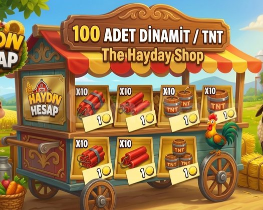 100 adet dimatik ve tnt