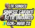 TR SINIRSIZ GARANTİ +60K ÖZ 30 LVL UNRANKED VIP
