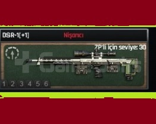 SINIRSIZ +1 DSR-1 SATILIR HEMEN TESLİMAT
