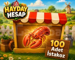 100 Adet Istakoz