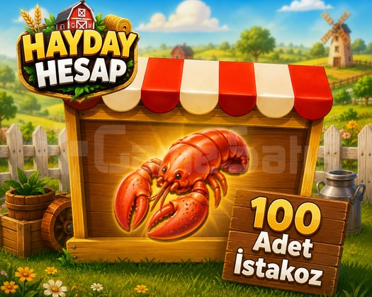 100 Adet Istakoz