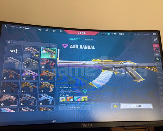 e girlden 2 vandal 1 bicak