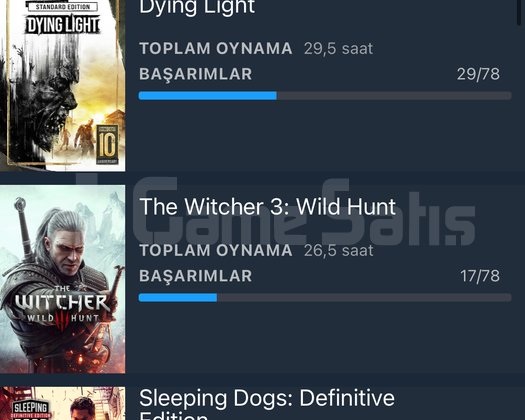 CS 2 ELO 20-25 K civarı temiz hesap