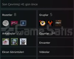 CS 2 ELO 20-25 K civarı temiz hesap