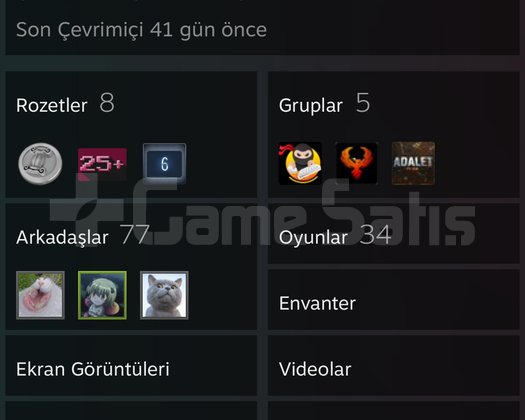 CS 2 ELO 20-25 K civarı temiz hesap