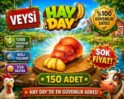 KAMPANYA 150 ıstakoz