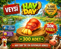 KAMPANYA 300 ıstakoz