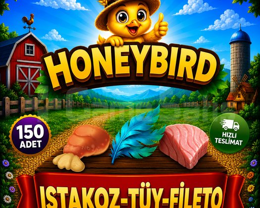 150 ADET TÜY-ISTAKOZ-FİLETO