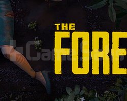 The Forest