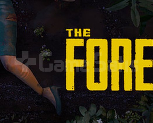 The Forest