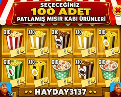 PATLAMIŞ MISIR KABI ÜRÜNLERİ