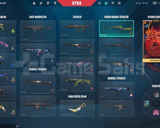 336 SEVİYE E SPORCU HESABI