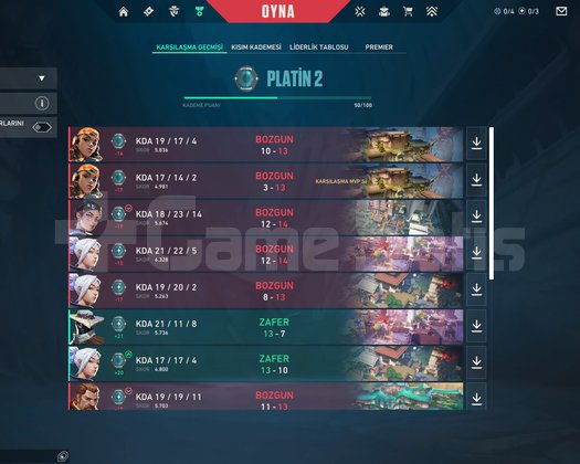 Neredeyse her silahta skin var