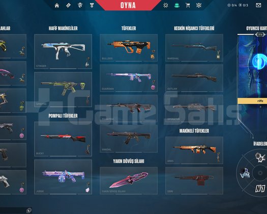 Neredeyse her silahta skin var