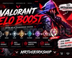 IMMO3 BOOSTING SERVICE