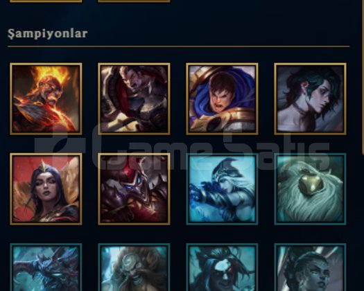 TR PLAT 3 65 WR 244 SKİN