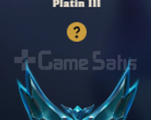 TR PLAT 3 65 WR 244 SKİN