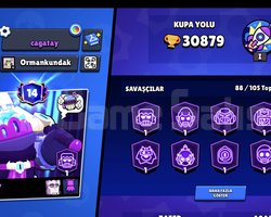 88 Karakter 223 kostüm 14 prestij 30k Hesap
