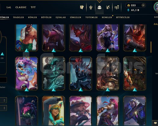 TR / 329 LEVEL / 96 SKİN / FUL HERO +MAİL