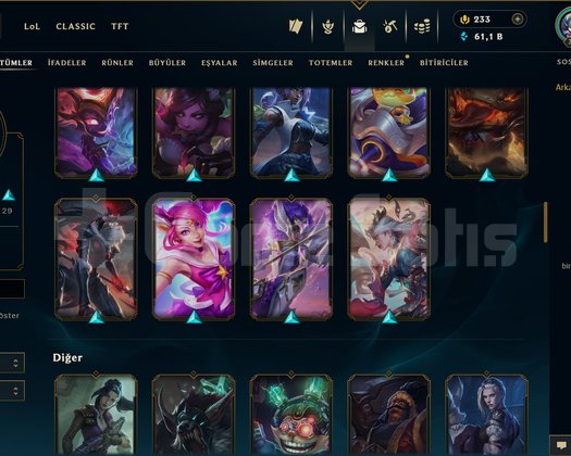 TR / 329 LEVEL / 96 SKİN / FUL HERO +MAİL
