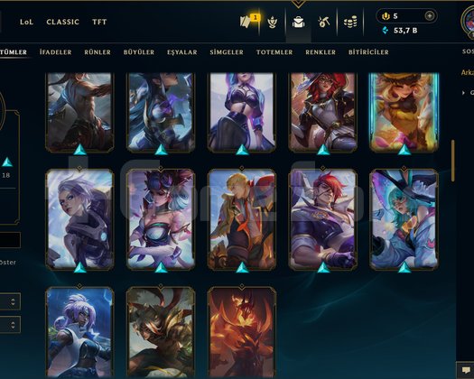 TR / 149 LEVEL / 73 SKİN / FUL HERO +MAİL