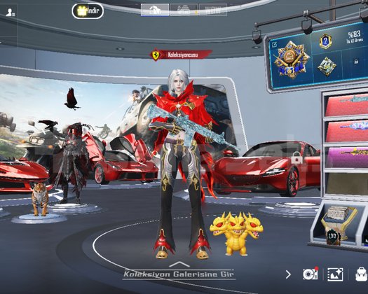 Ferrari ünvanlı özel lobili hesap araba sevenler