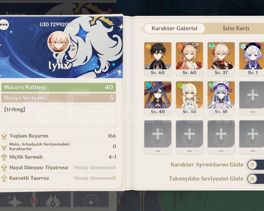 GENSHIN STARTER AYARINDA HESAP
