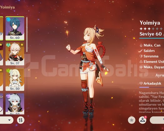 GENSHIN STARTER AYARINDA HESAP