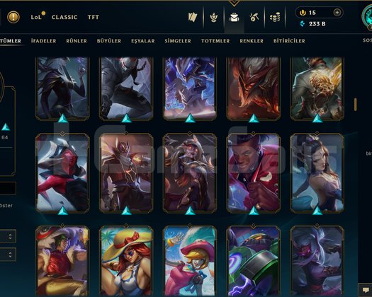 TR / 700 LEVEL / 193 SKİN / FUL HERO +ELMAS +MAİL