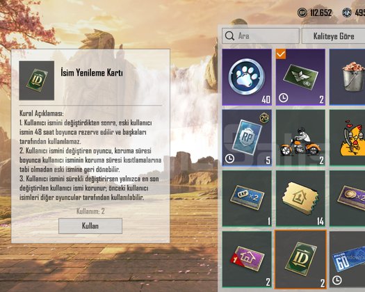 TEK BAĞ !! PLATİN V + 2X ID KARTI ++