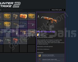 Skinli Cs2 Prime Hesap
