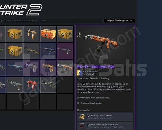 Skinli Cs2 Prime Hesap
